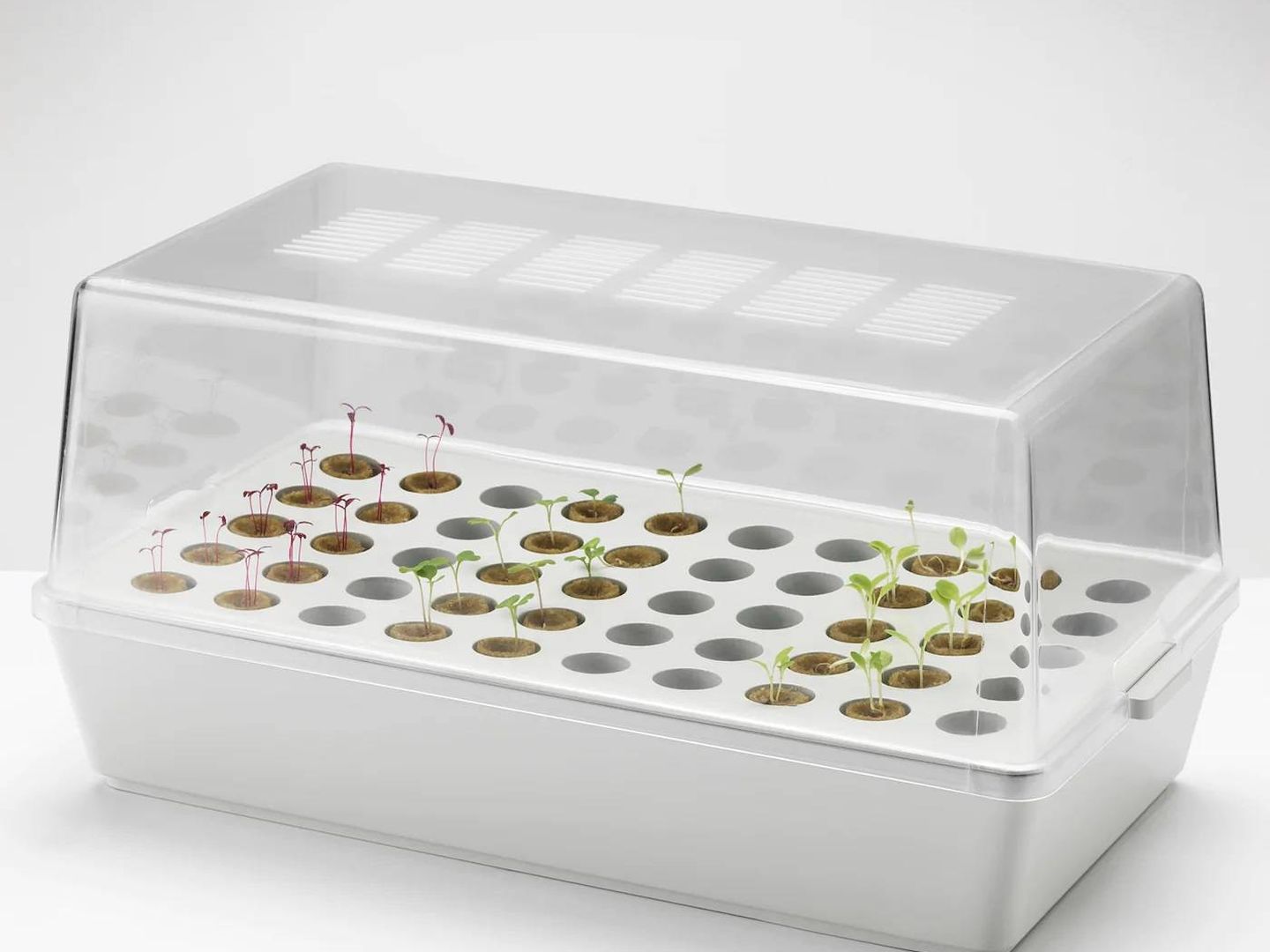 Con este semillero de Ikea podrás ver crecer tus plantas desde cero. (Cortesía)