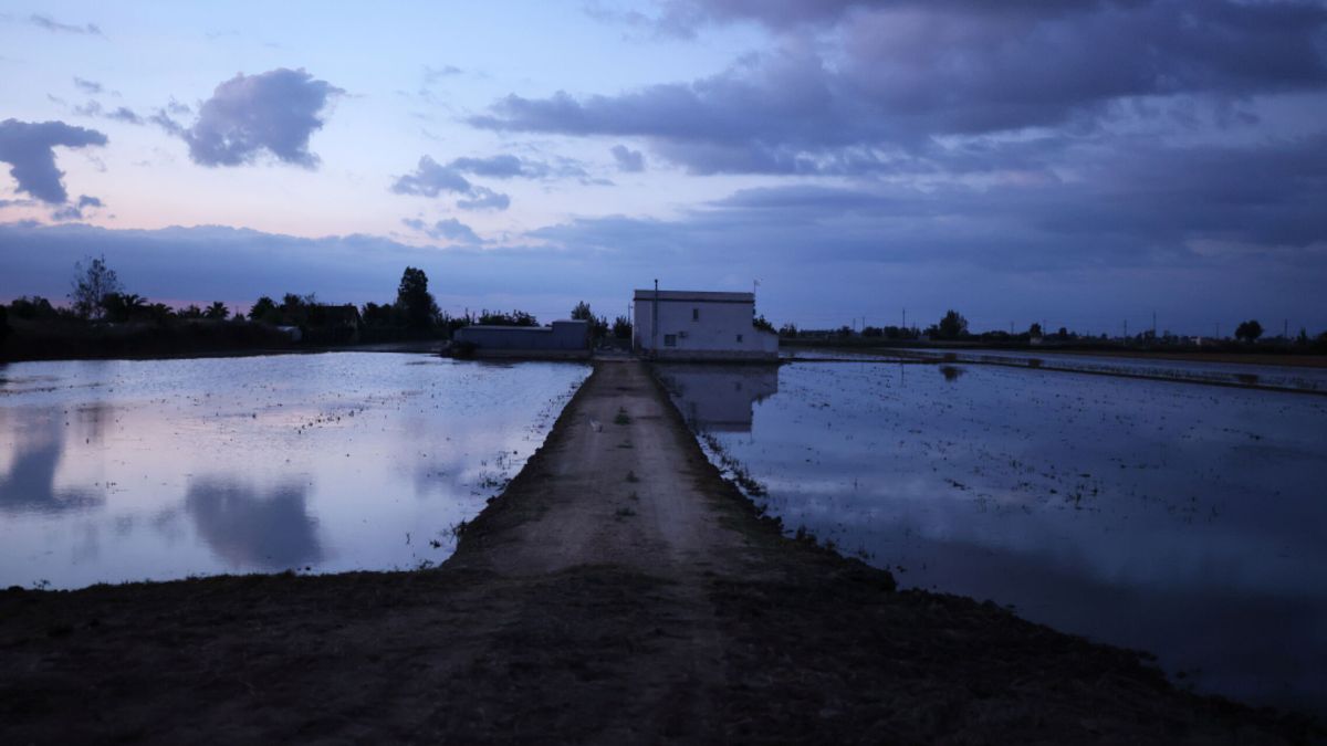 Propietarios agrícolas denuncian al Estado por la regresión del Delta del Ebro