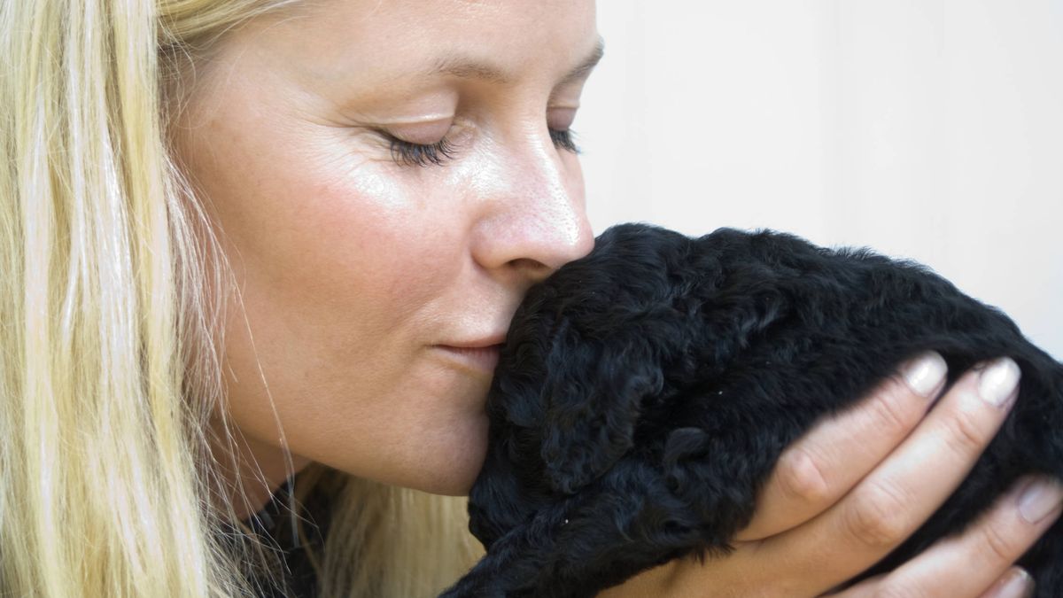 La historia de cómo Mette-Marit recurrió a Instagram para encontrar a su perro
