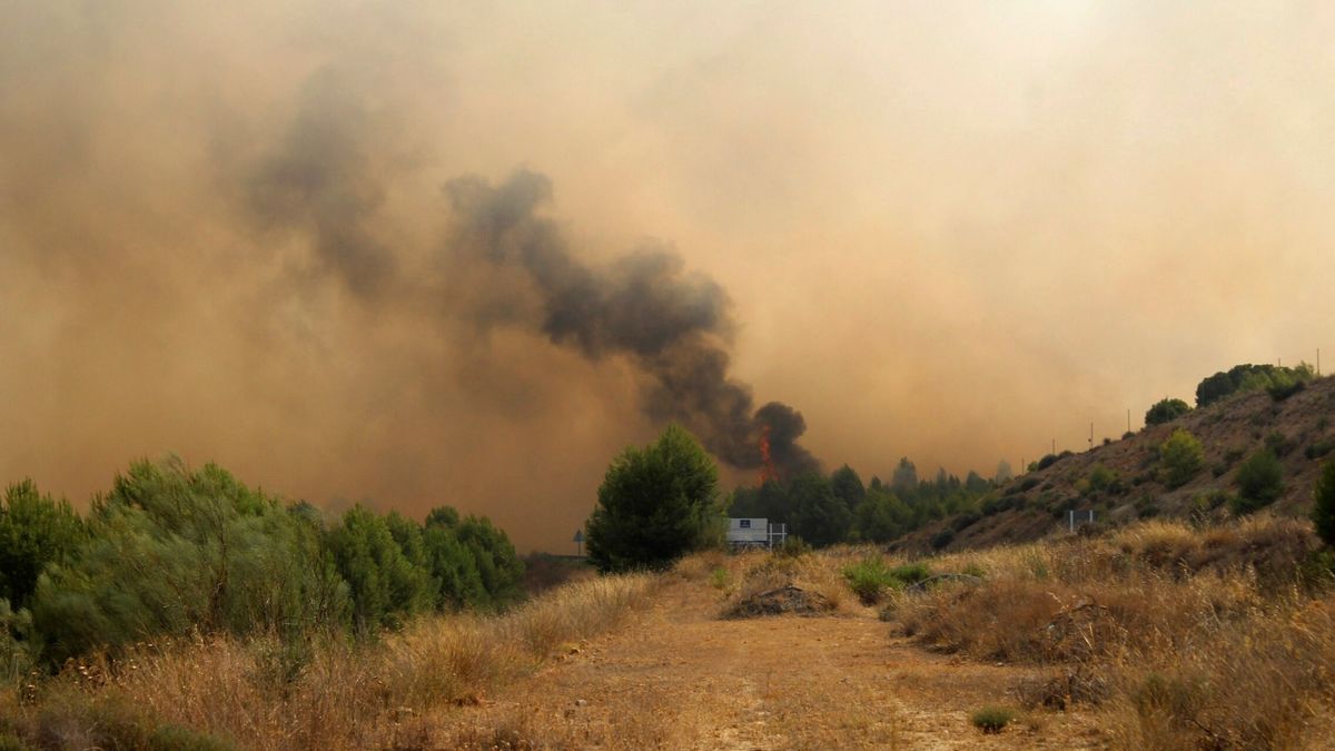 Más de 100 personas trabajan para contener un incendio forestal declarado en Hellín, municipio de Albacete