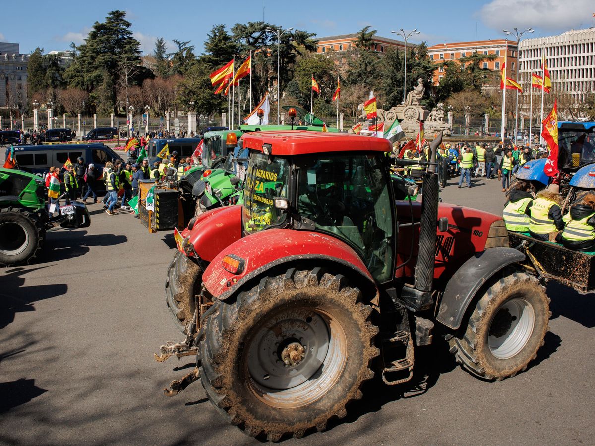 Foto: Manifestación de agricultores en Madrid: recorrido, cortes de tráfico y hasta qué hora durará la tractorada. (Alejandro Martínez Vélez / Europa Press)