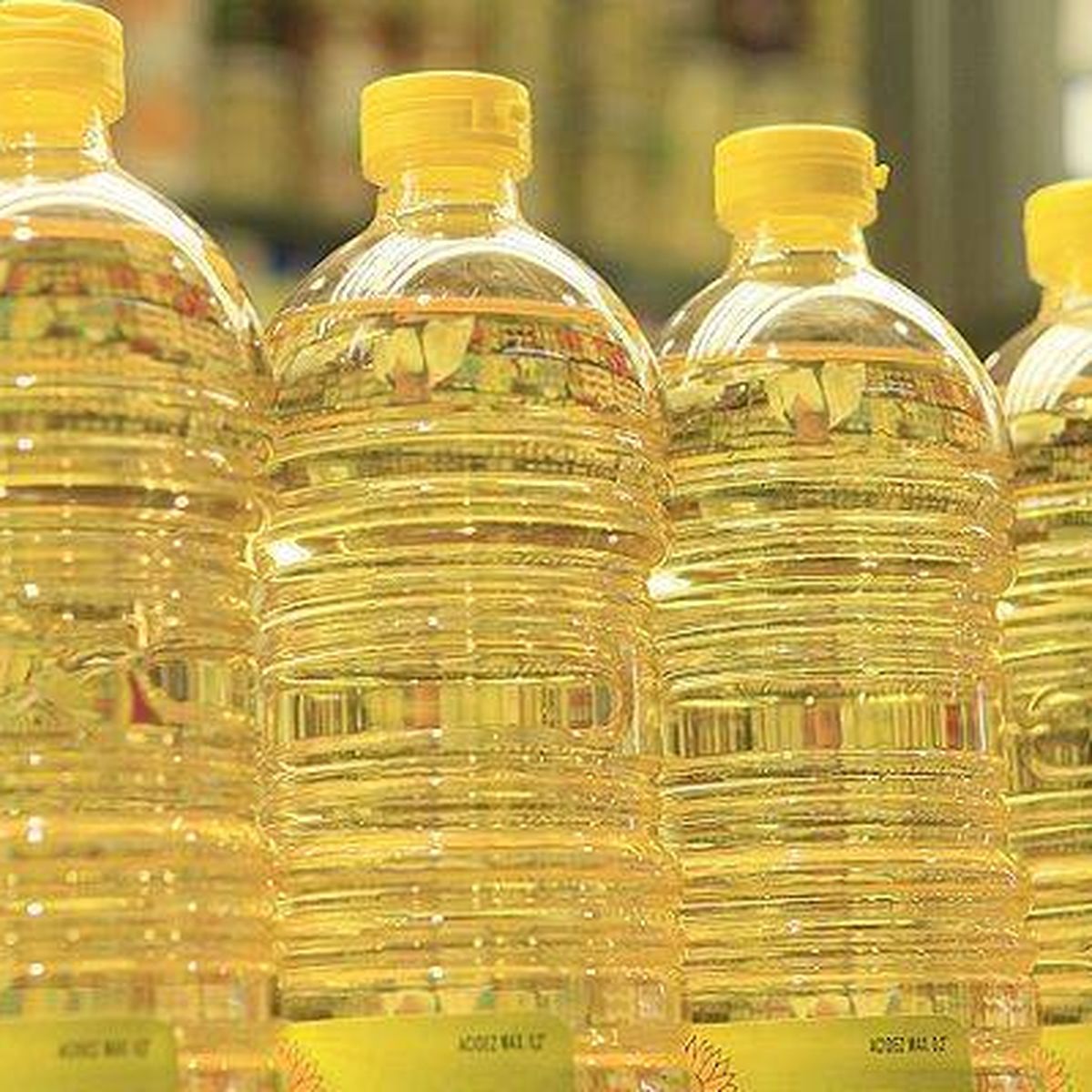 Por qué hay escasez de aceite de girasol en el supermercado? La guerra en  Ucrania ya se nota