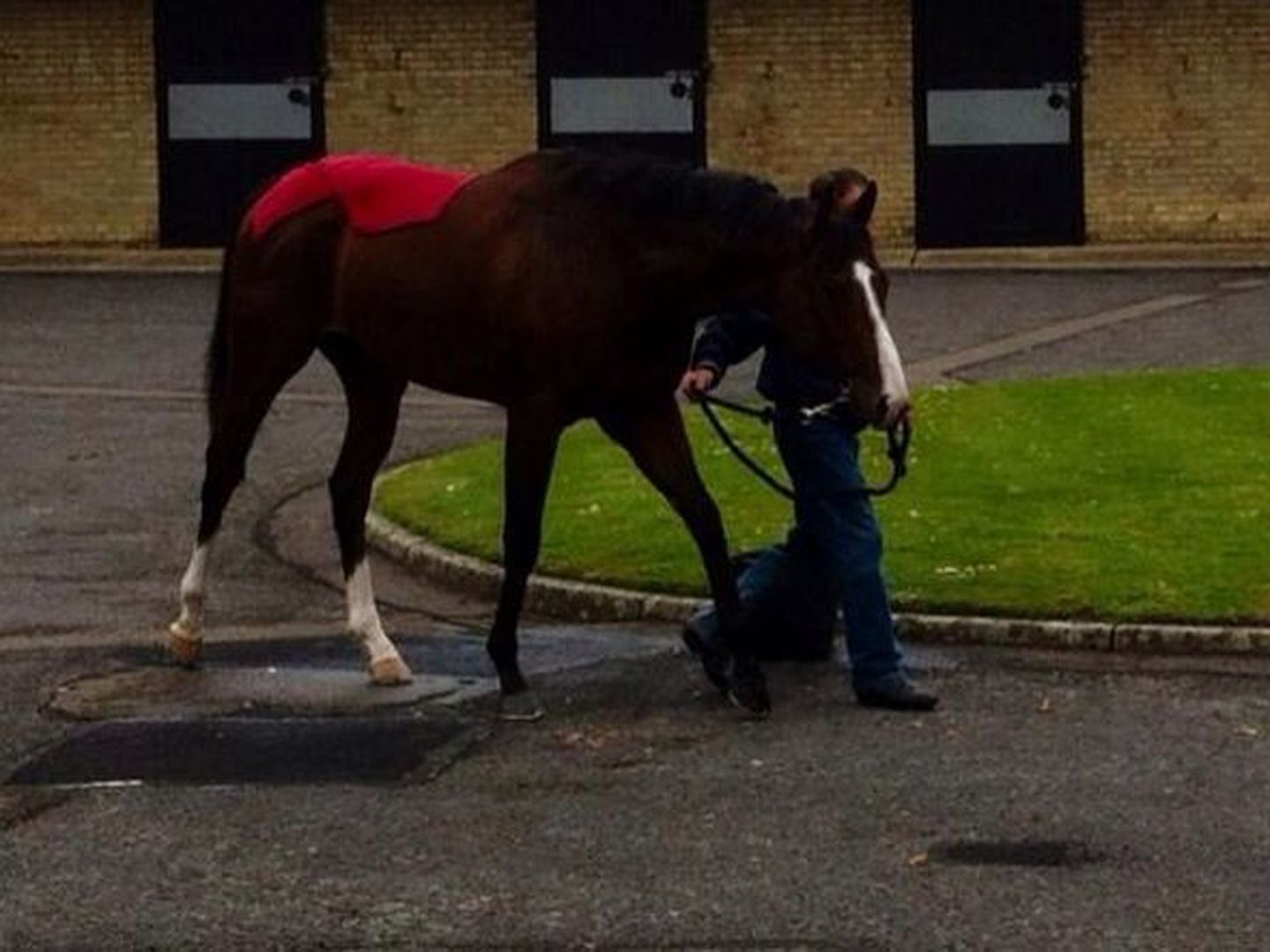 'Noozhoh Canarias' en Newmarket (Adrian Beamount).