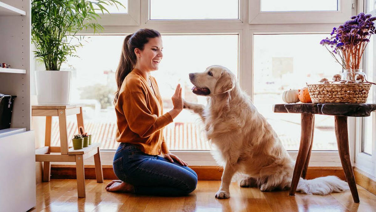 Las cinco cosas que harán vivir más tiempo a tu perro y estar más sano