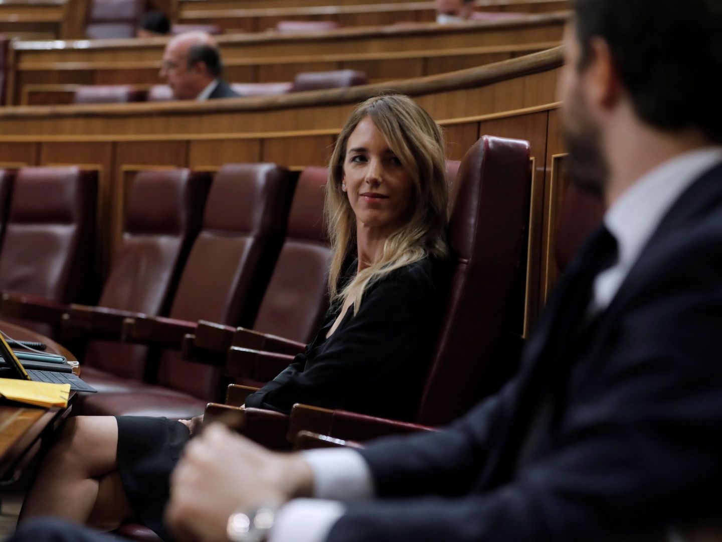 El líder del PP, Pablo Casado (d), y la portavoz popular, Cayetana Álvarez de Toledo, al fondo, en el Congreso. (EFE)