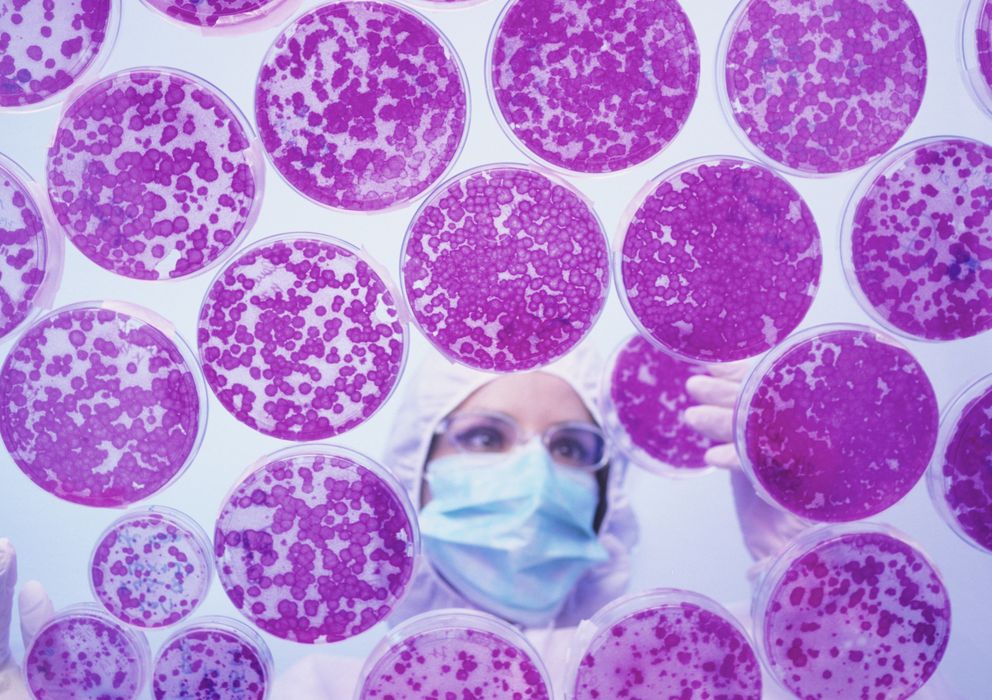 Foto: El logro de los científicos españoles supone un paso decisivo en la investigación médica con células madre. (Corbis)
