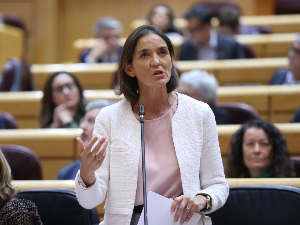 Foto: La ministra de Industria, Comercio y Turismo, Reyes Maroto, en el pleno del Senado. (EFE/Kiko Huesca)