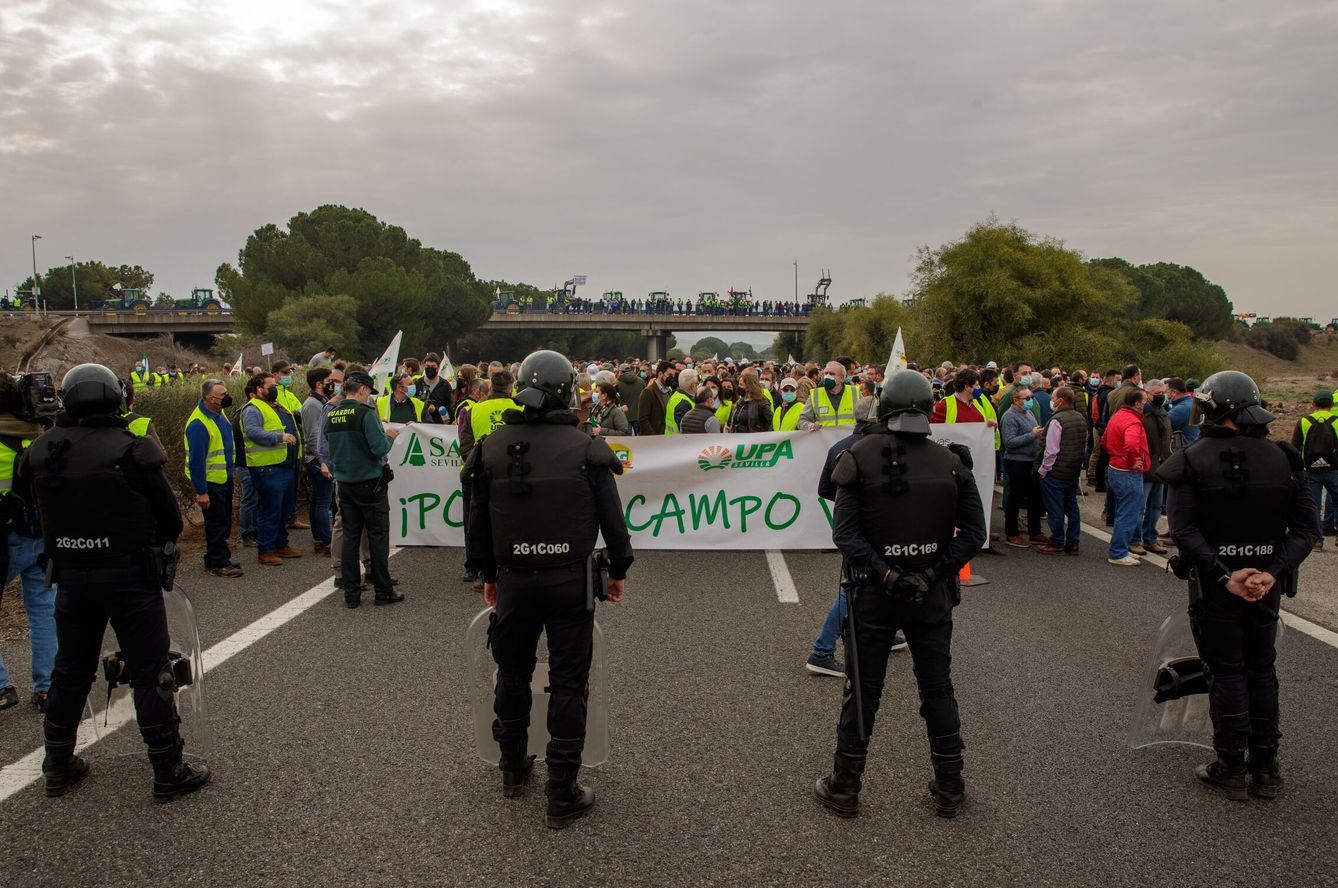 Agricultores y ganaderos cortando la AP-4 entre Sevilla y Cádiz. (EFE/Julio Muñoz) 