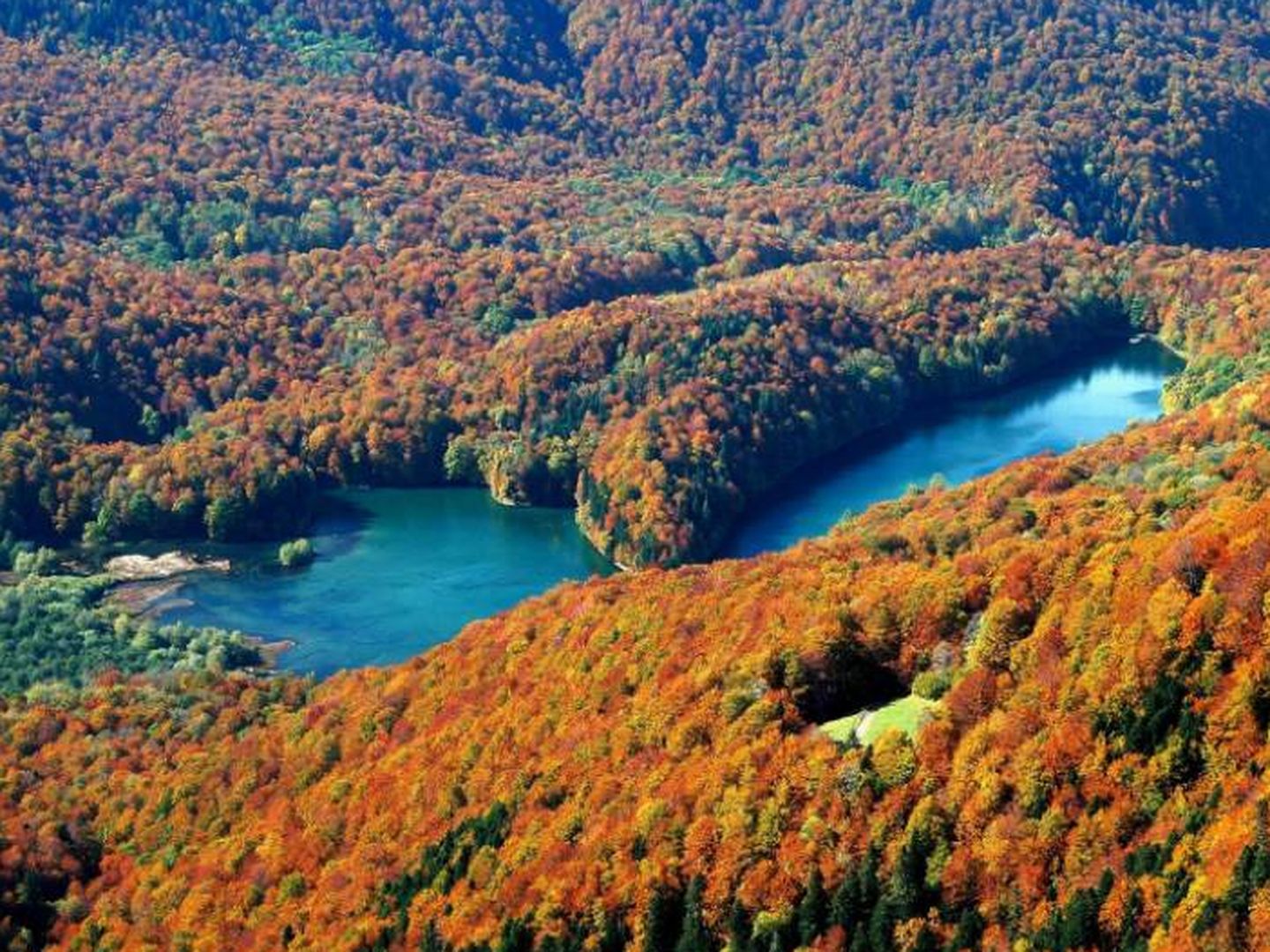 El Parque Nacional Biogradska Gora. (Foto: Turismo Montenegro)