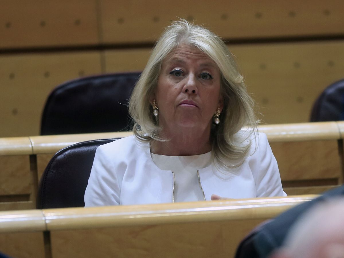 Foto: La alcaldesa de Marbella, Ángeles Muñoz, en el Senado. (EFE/Fernando Alvarado)