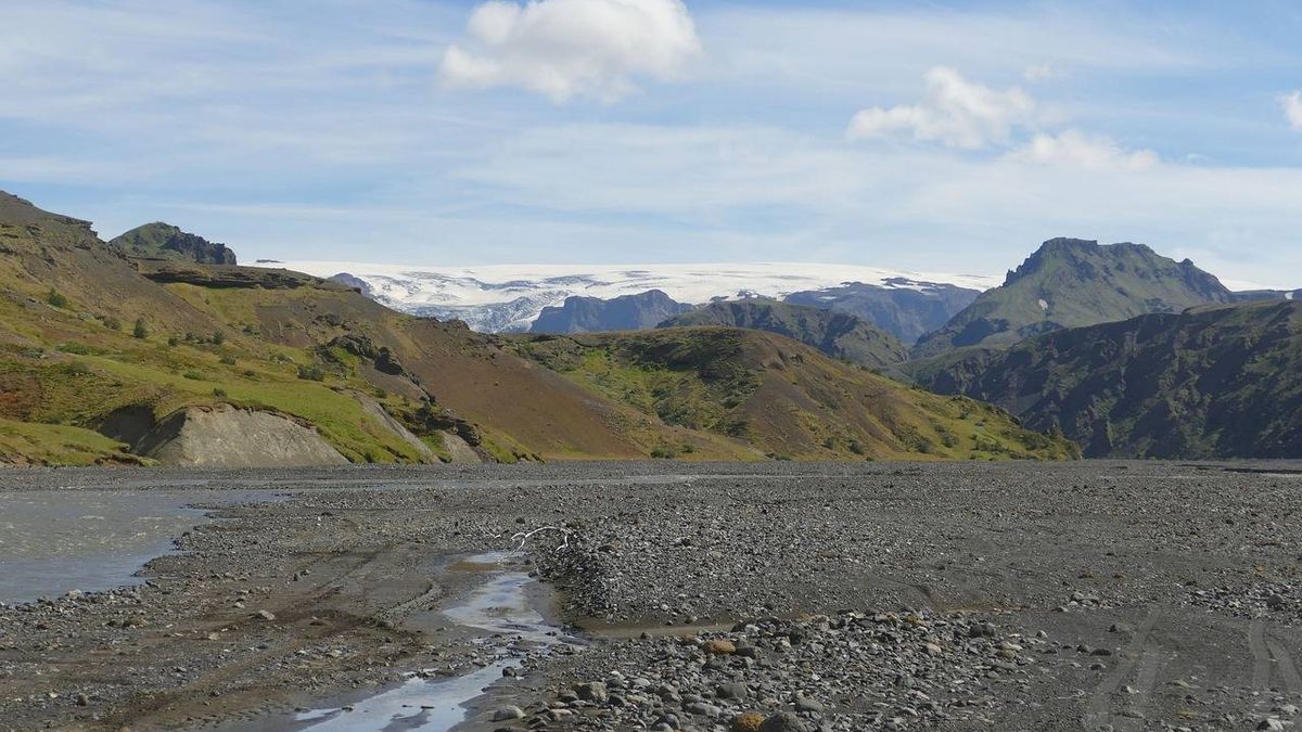 La reforestación del siglo: Islandia repuebla los bosques que arrasaron los vikingos