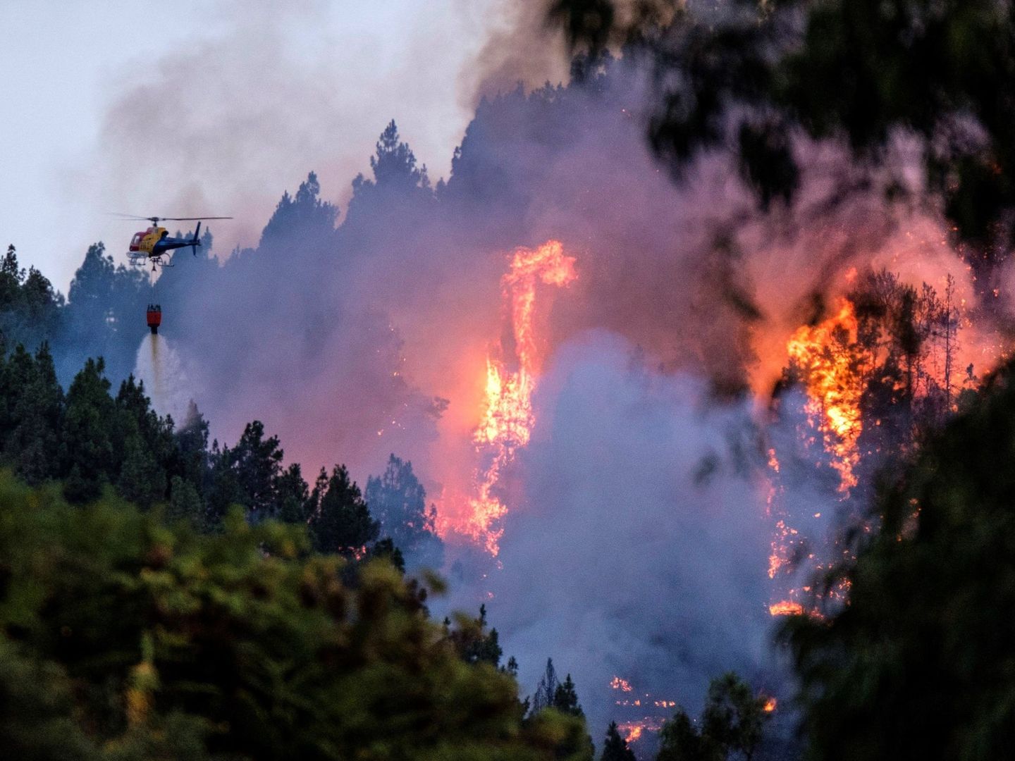 Un dispositivo de emergencia trabaja en la extinción de un incendio en el municipio de grancanario de Valleseco. (EFE)