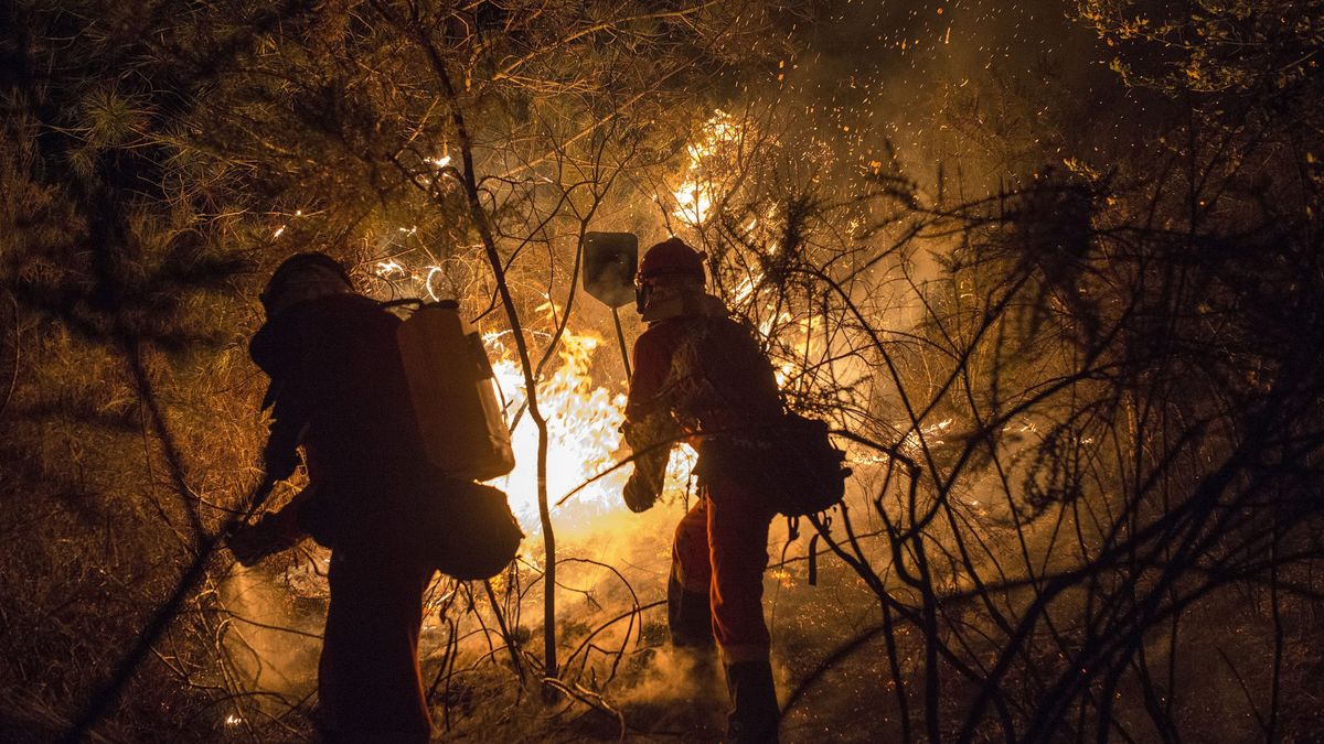 Incendios en Galicia: Mueren dos personas cerca de Vigo en uno de sus peores fuegos