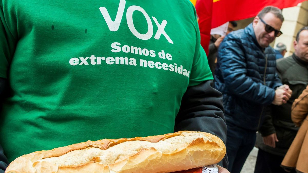 Así es el programa electoral de Vox para las elecciones andaluzas y para toda España