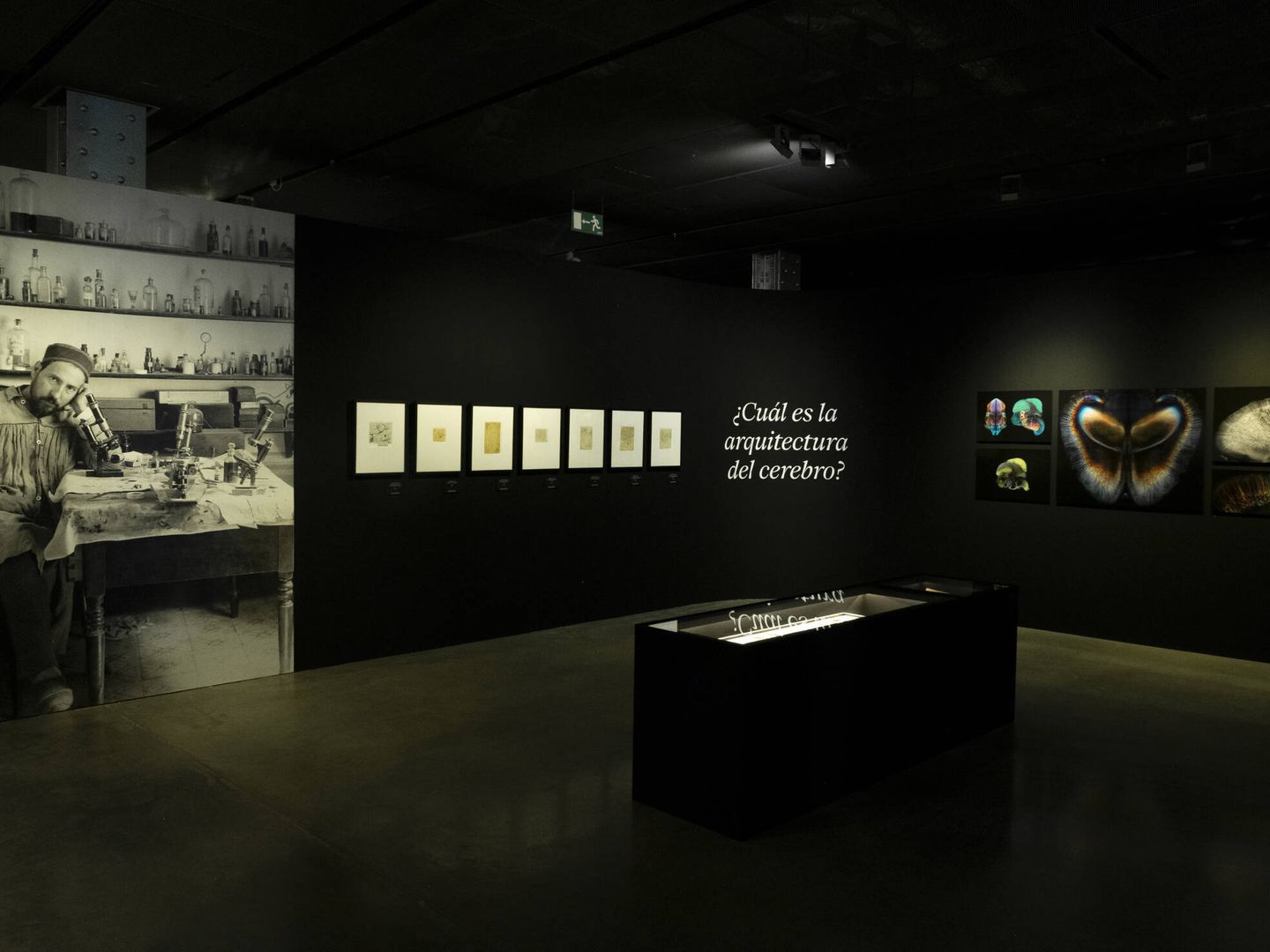 Ramón y Cajal, en el centro de la muestra. (Fundación Telefónica)