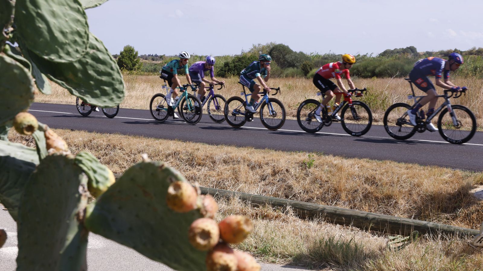 La Vuelta España 2026: horario y dónde ver por TV en directo la 4ª etapa