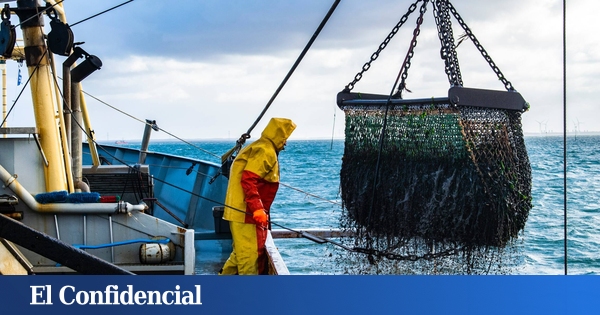 El futuro de la pesca en España: más sostenible y basada en la ciencia