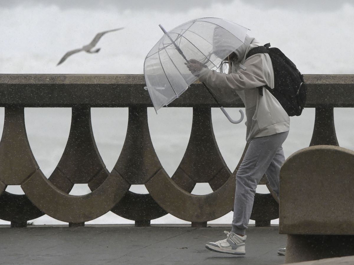 Foto: Una persona se protege de la lluvia y el viento con un paraguas (Dylan/Europa Press)