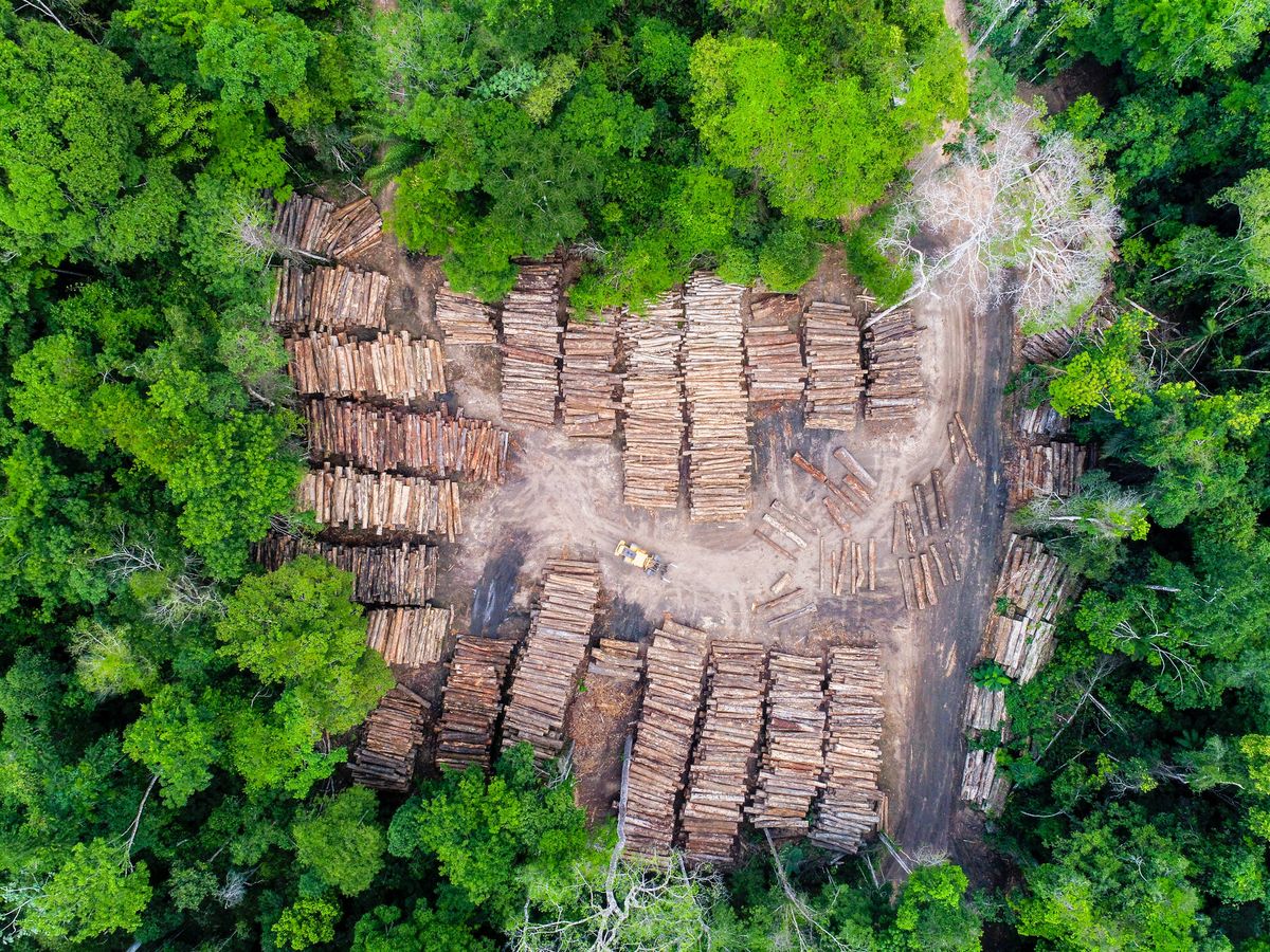 Foto: Vista aérea de un almacén de madera (Fuente: iStock)