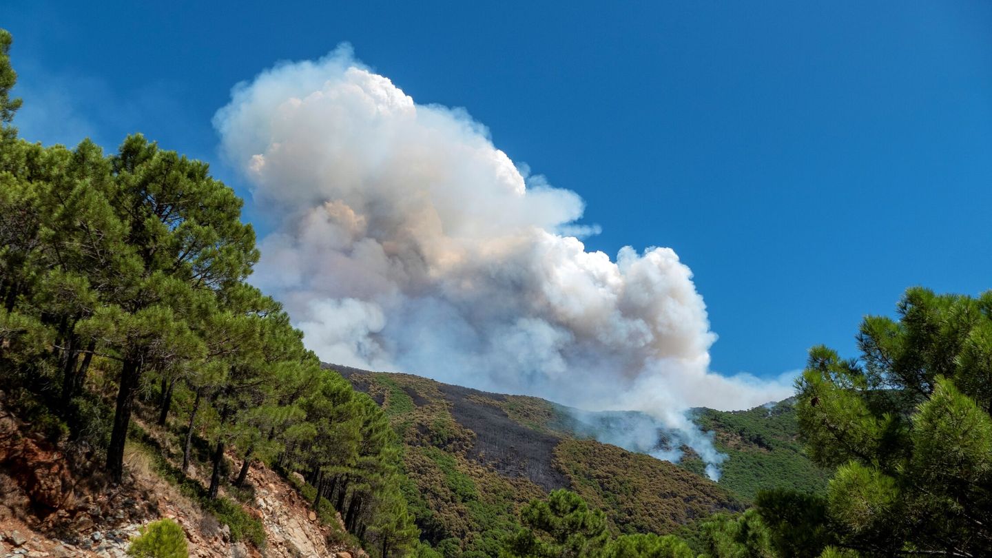 El incendio forestal de Sierra Bermeja. (EFE)