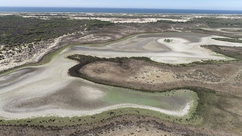 Parque Nacional de Doñana: crónica de una desecación anunciada 