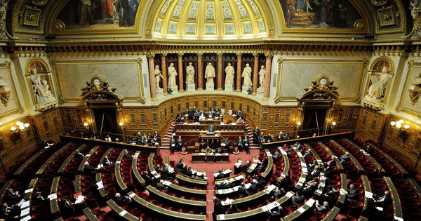 Foto: Vista general del Senado en París. (EFE)