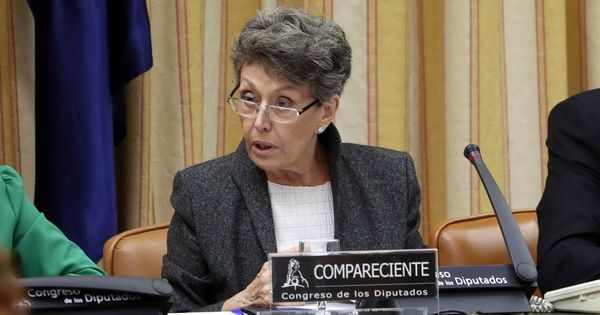 Foto: Rosa María Mateo, durante su comperecencia ante la Comisión Mixta de Control Parlamentario. (EFE).
