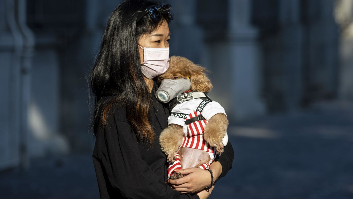 Una mujer con su perro, ambos con mascarilla en Guangzhou, China (EFE)