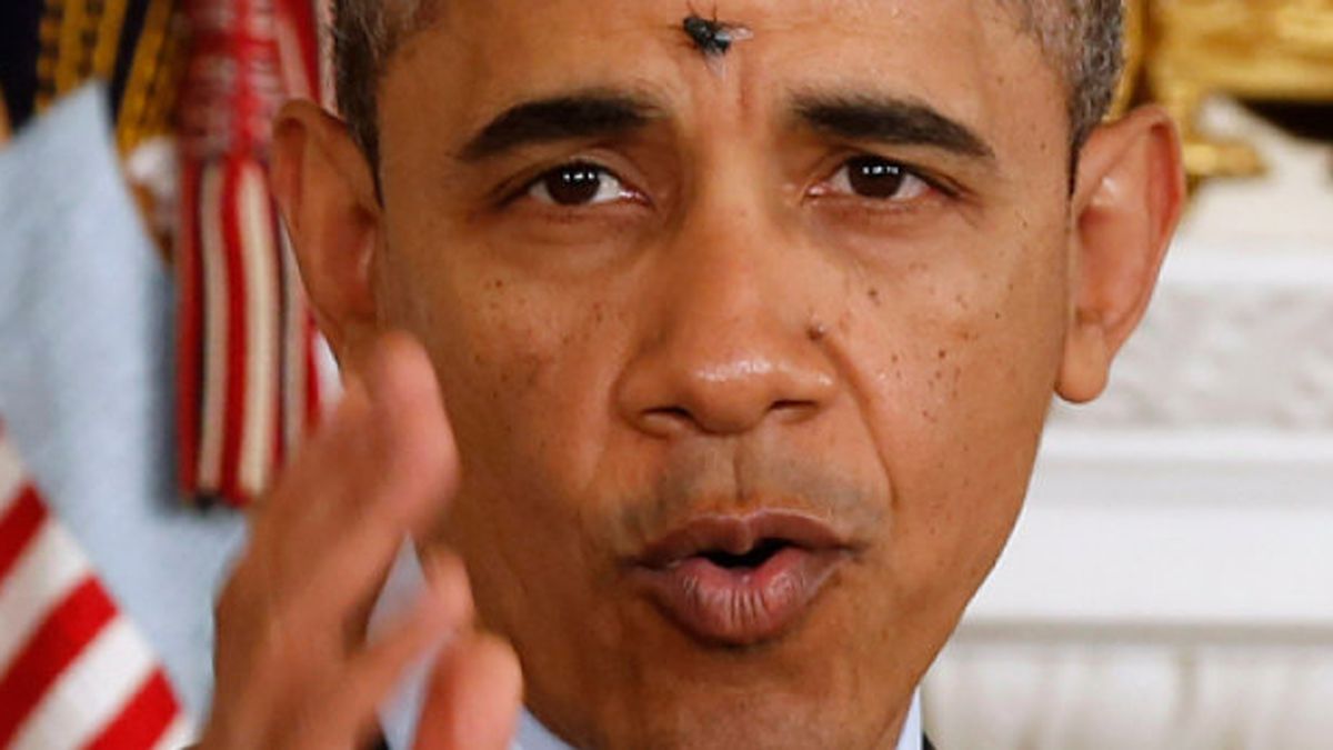 La mosca 'cojonera' que atacó a Obama