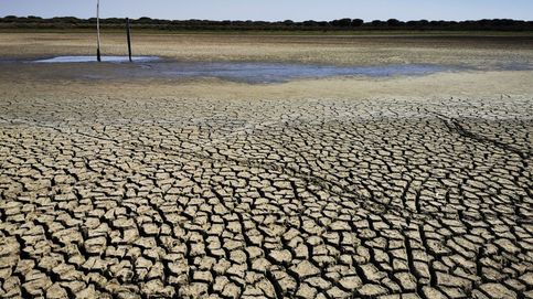 Andalucía, “defraudada” con el Gobierno, reclama obras “vitales” ante la sequía