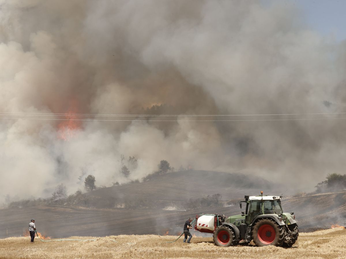 Foto: Incendio forestal entre las localidades navarras. (EFE/Jesús Diges)