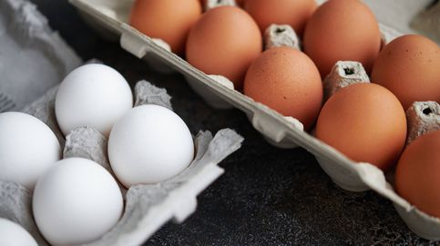 Por qué los huevos son de color blanco o marrón y qué significa