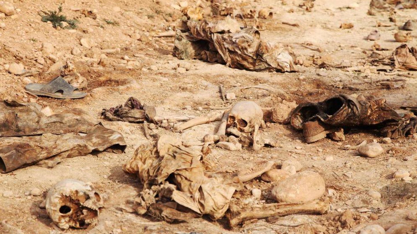 Cráneos humanos encontrados en una fosa común en las afueras de Sinjar, en febrero de 2015 (Reuters)