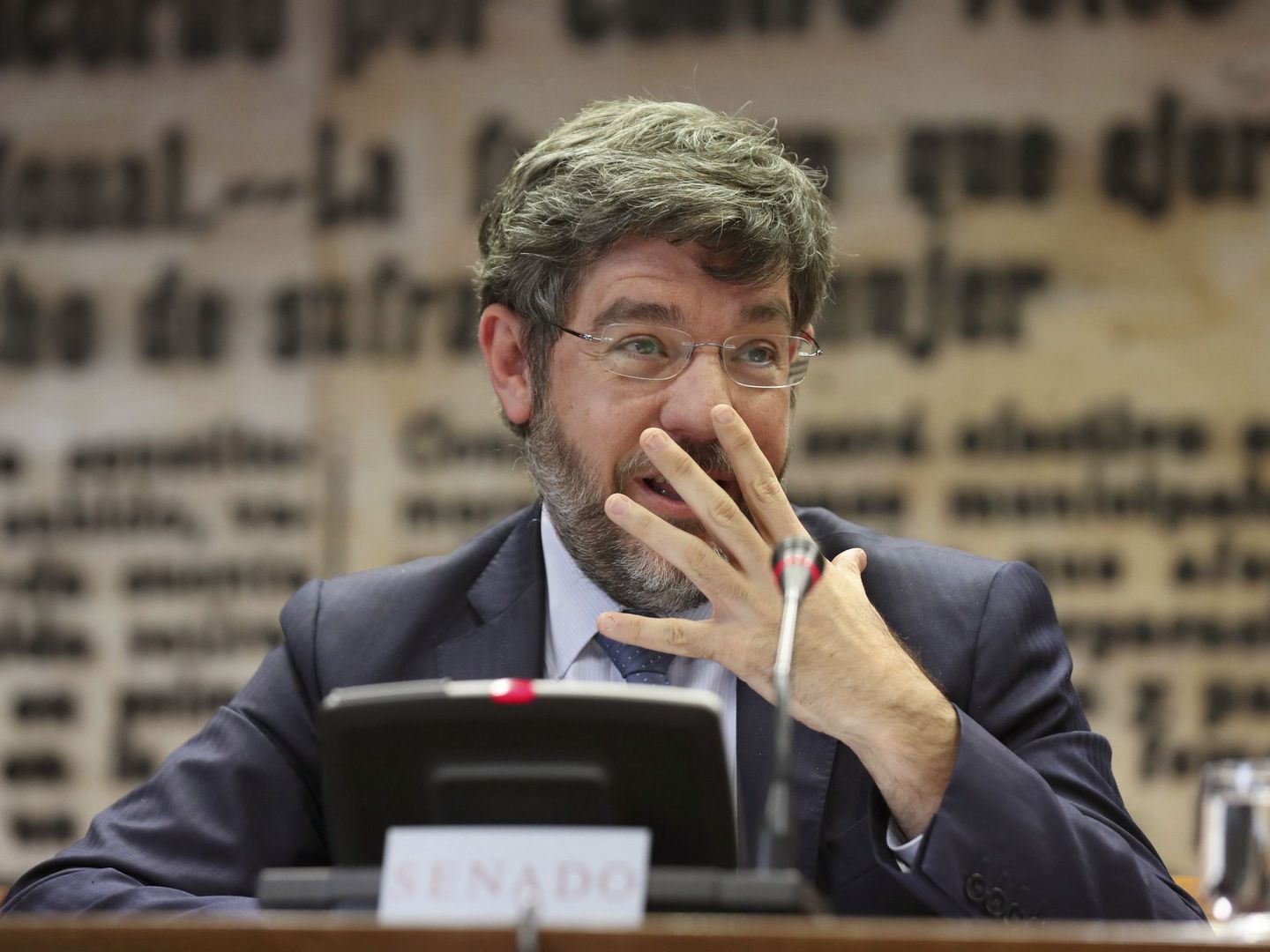 El secretario de Estado de Presupuestos y Gastos, Alberto Nadal, comparece en el Senado. (EFE)
