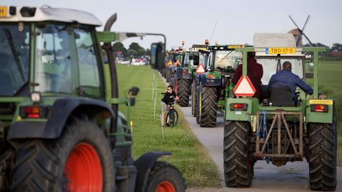 Los tractores contra Rutte: la batalla contra el nitrógeno se come el ganado
