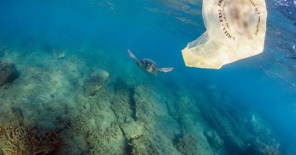 Foto: Greenpeace fleta un barco en Grecia para combatir el plástico en los mares (EFE)