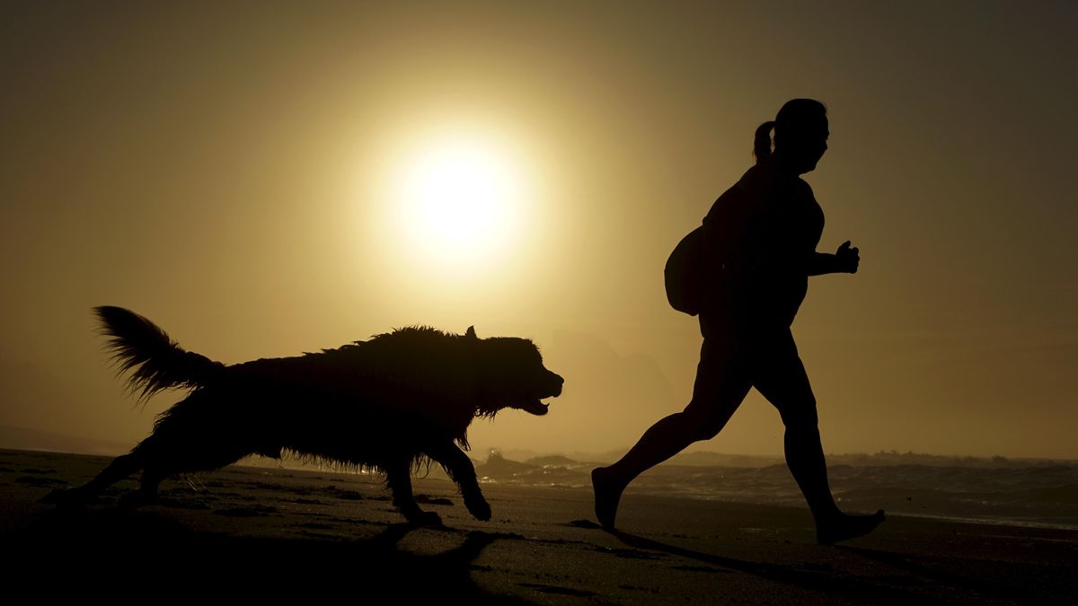 Las claves para ser más feliz con el 'running': los beneficios de entrenar con una mascota