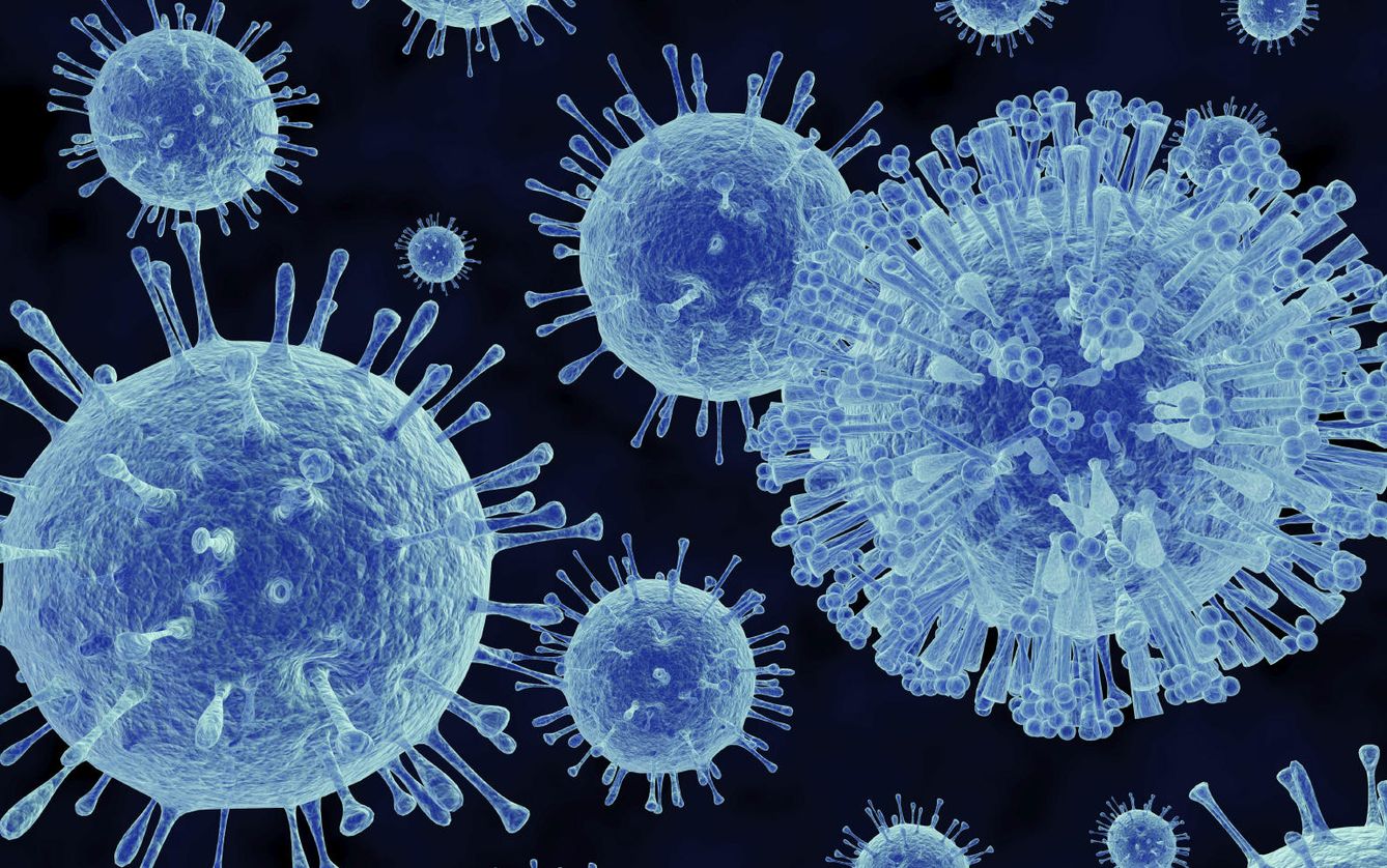 Ilustración de un grupo de Norovirus. (iStock)