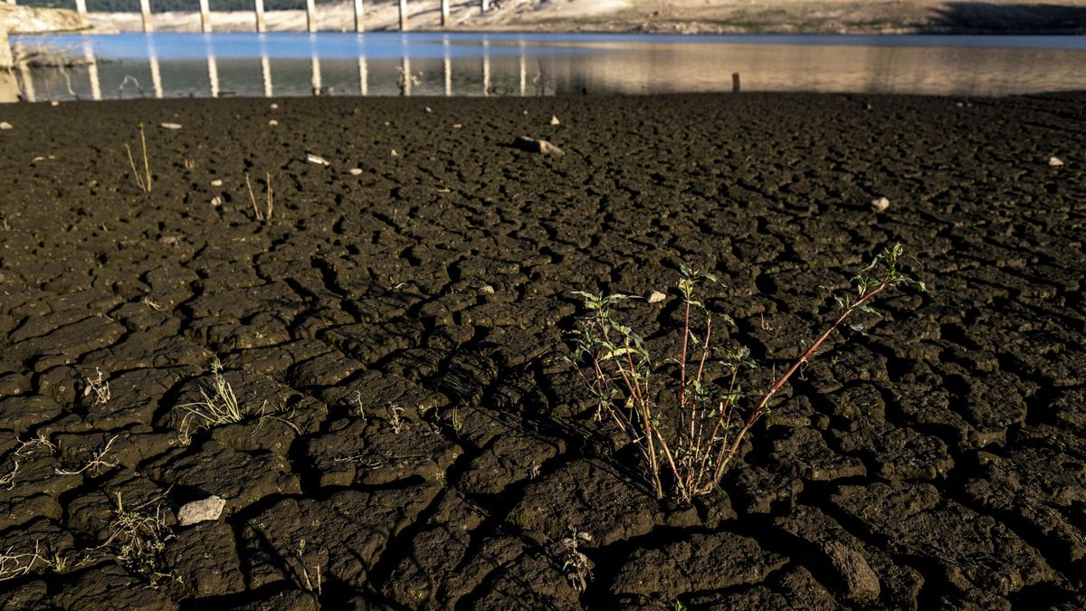 Tras el fuego, sequía: cortes de agua y menos consumo para los pueblos de Málaga