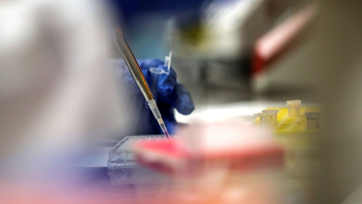 El CSIC busca una vacuna contra el Covid-19 a partir del virus que erradicó la viruela