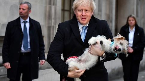 Del perro de Boris a Alan Moore pidiendo el voto laborista: las anécdotas que deja el día