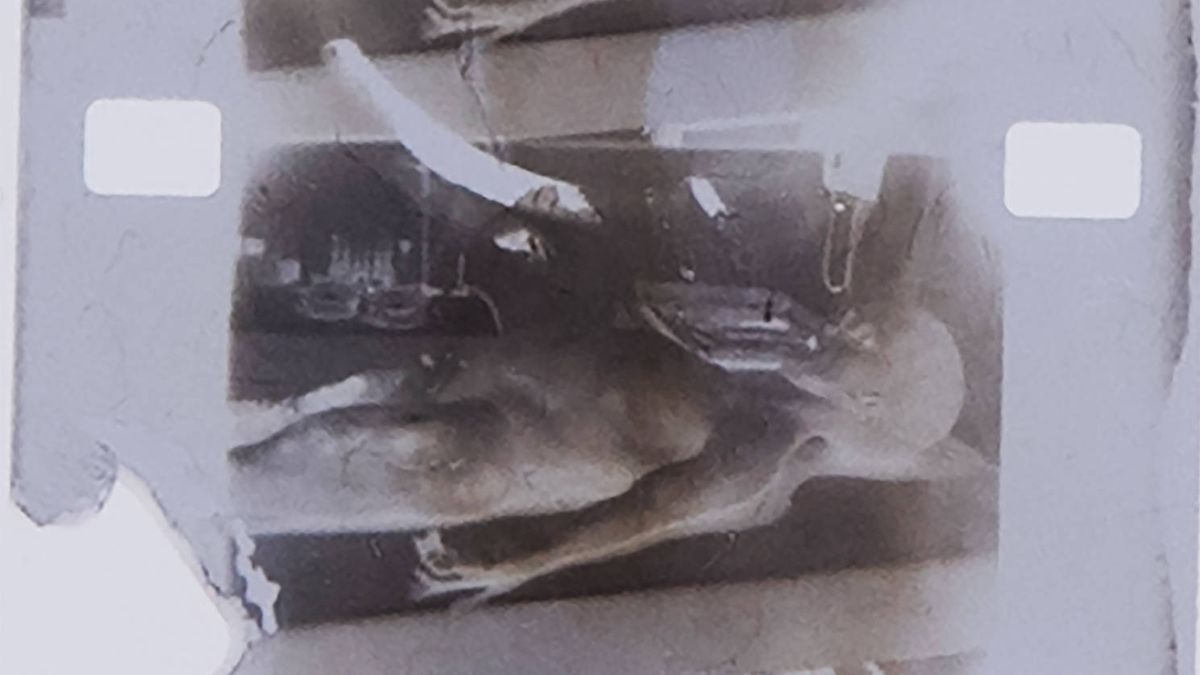 Subastan un fotograma del vídeo de la autopsia a un supuesto extraterrestre en 1947