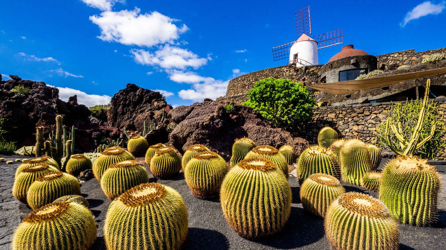 Jardín del Cactus, en Lanzarote. (iStock)
