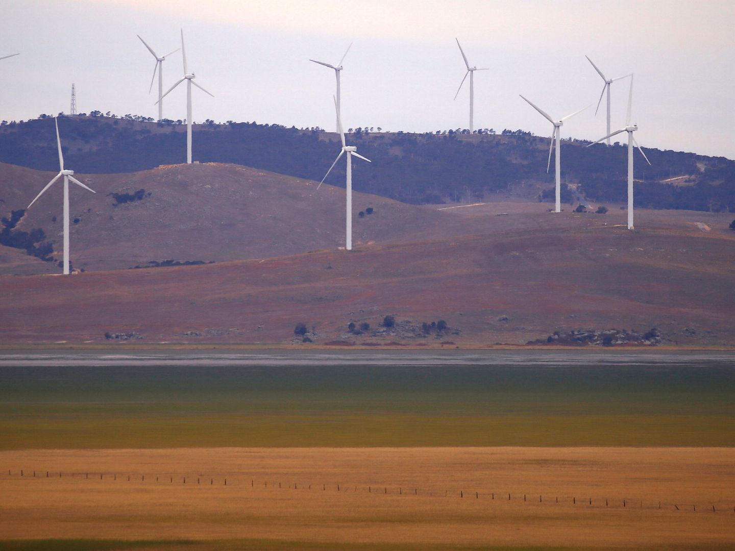 Campo de turbinas cerca de Canberra, Australia (Reuters)