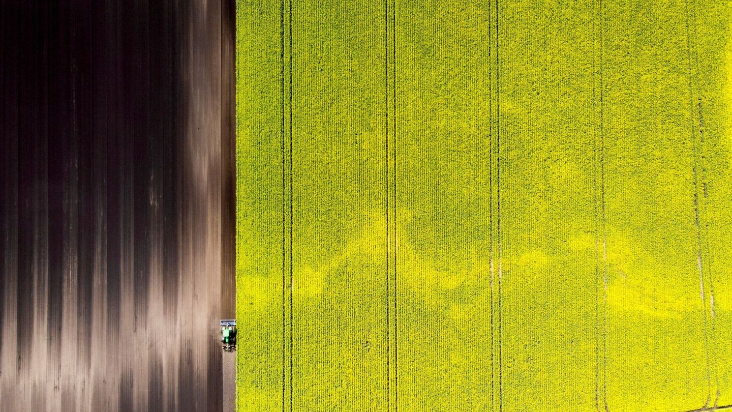 Un granjero ara con su tractor unos campos de colza. (EFE)