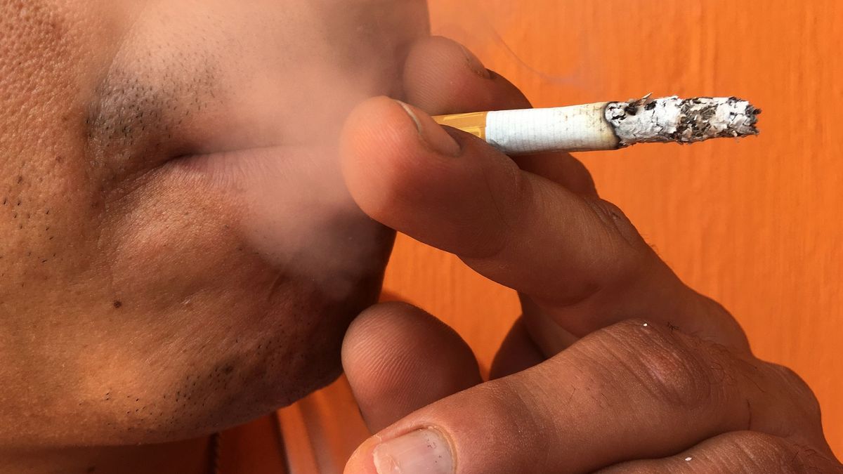 Cae la red de tabaco ilegal más importante de Europa, que tenía varias fábricas en España