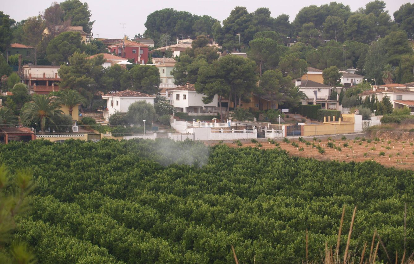 Aplicación de pesticidas en un naranjal de Valencia. (APIADS)