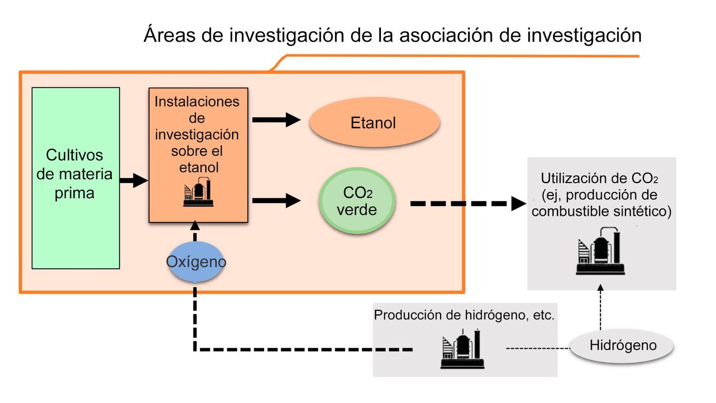 El proceso que se investiga parte de la biomasa, pero produce etanol de forma mucho más limpia.