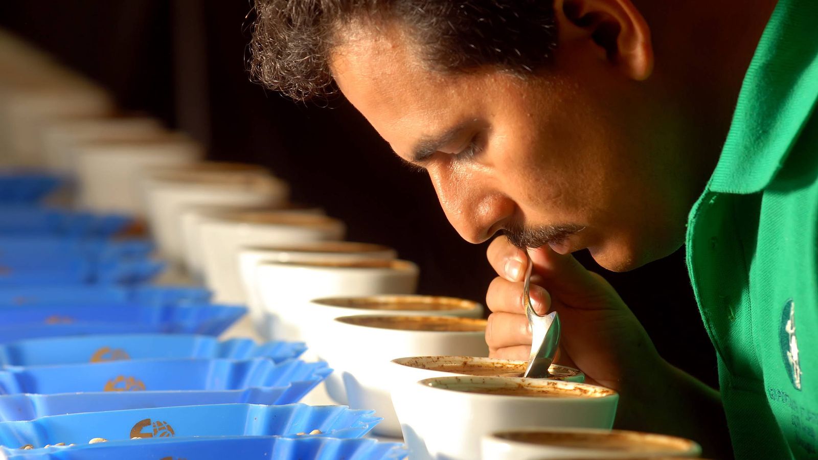 Foto: Se han encontrado estas substancias en 103 muestras distintas de café. (EFE)