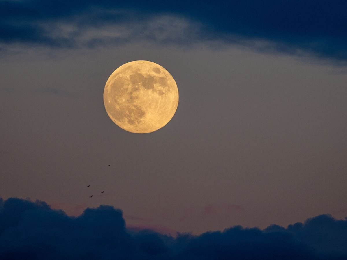 Foto: Calendario lunar 2023: cuándo es la luna llena cada mes y qué eclipses hay en España (EFE/Abel Alonso)